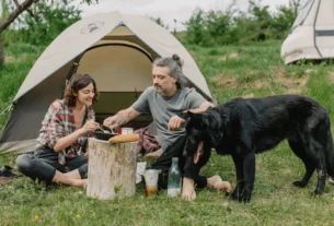 viajar com cachorro grande