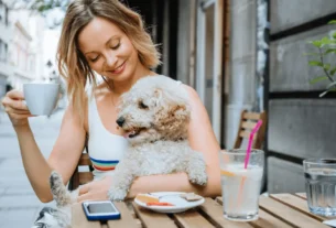 Destinos Imperdíveis para Famílias com Pets