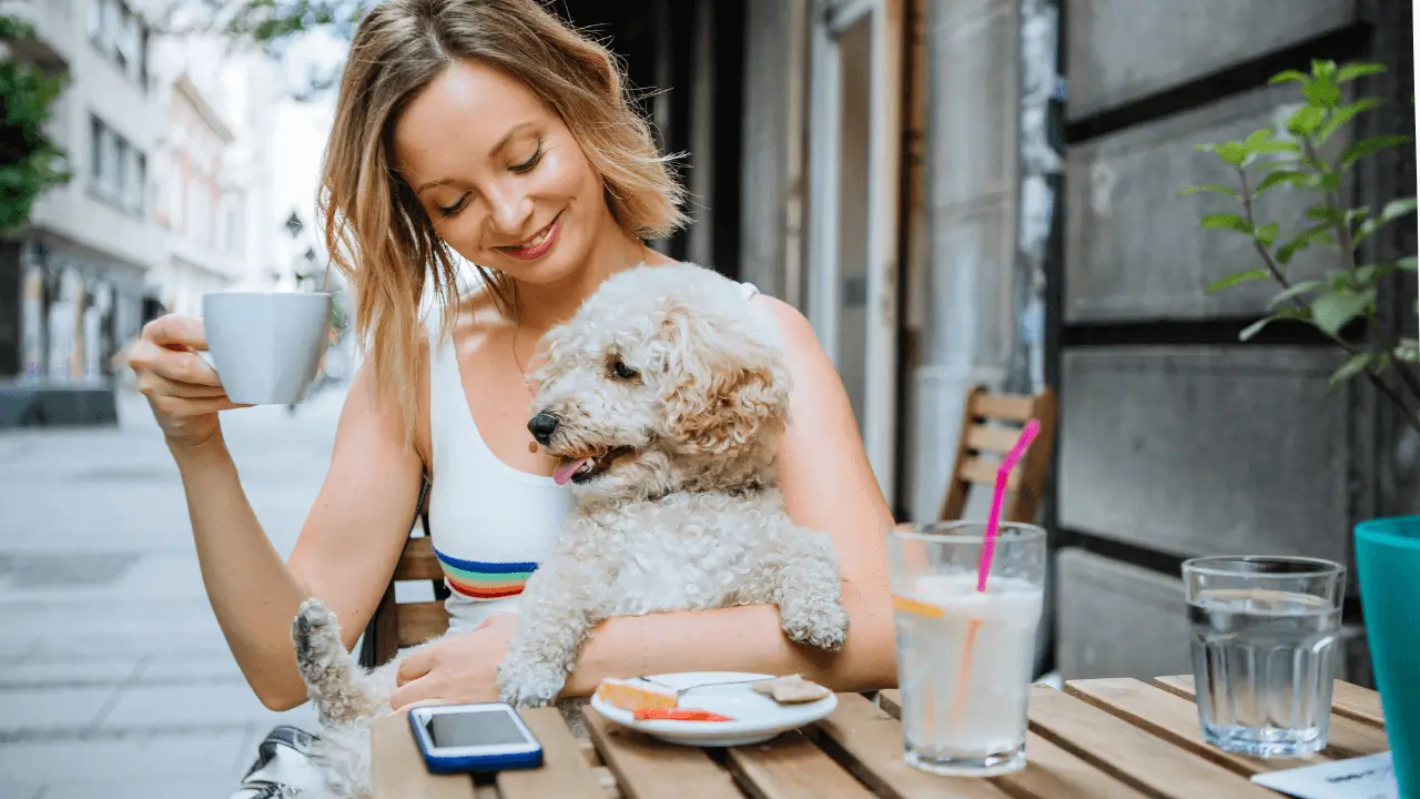 Destinos Imperdíveis para Famílias com Pets