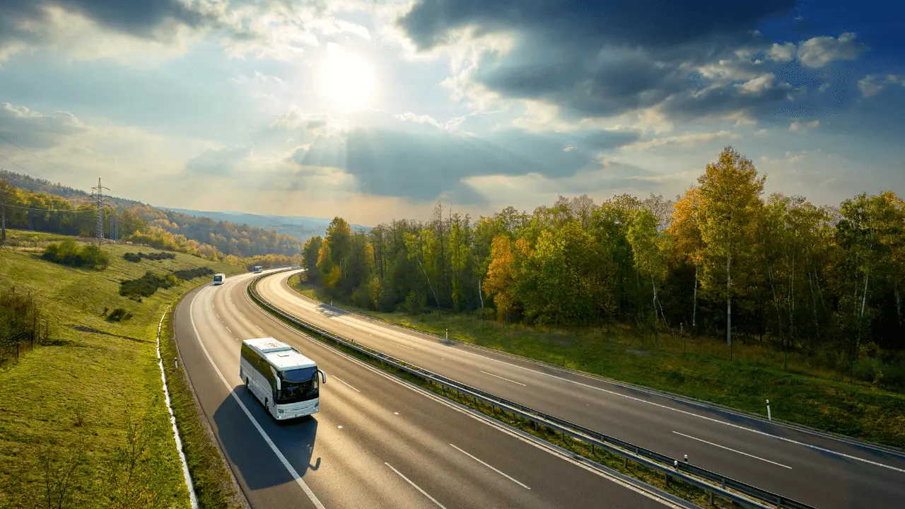 viajar de ônibus com pet no Brasil