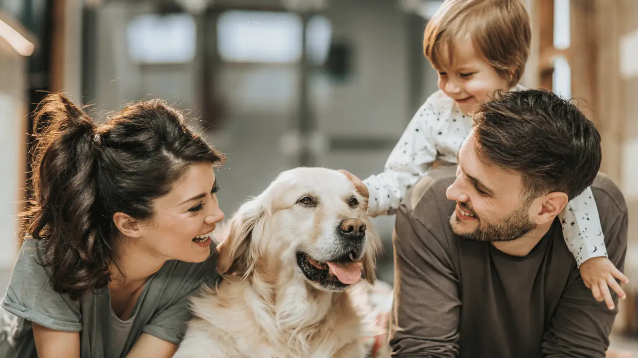 Acomodações Pet-Friendly