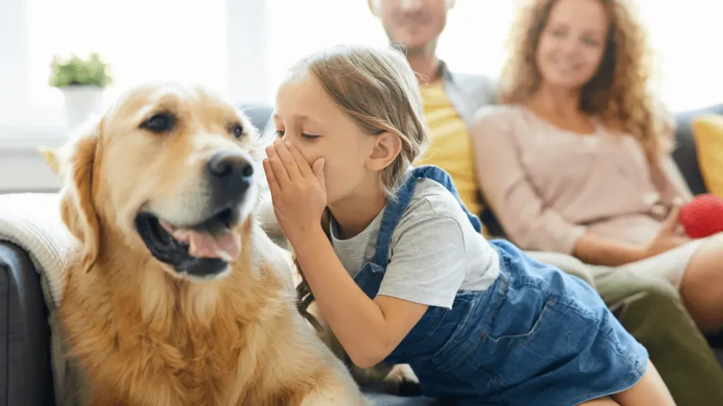 viajar com cachorro grande