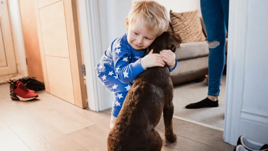 Hotéis Pet-Friendly no Brasil