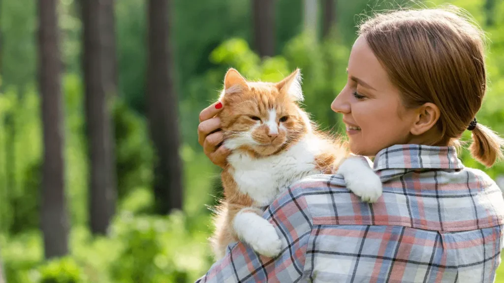 Viagem de Avião com Gatos