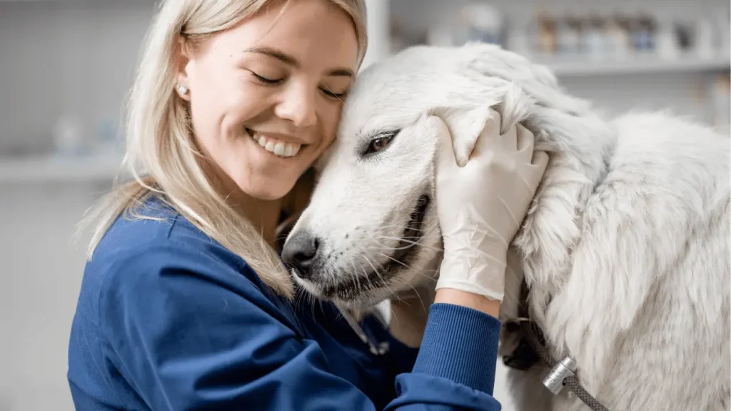 viajar com cães grandes