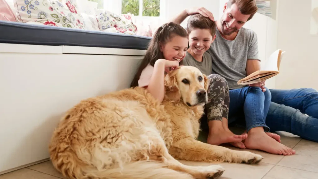 Hotéis Pet-Friendly no Brasil