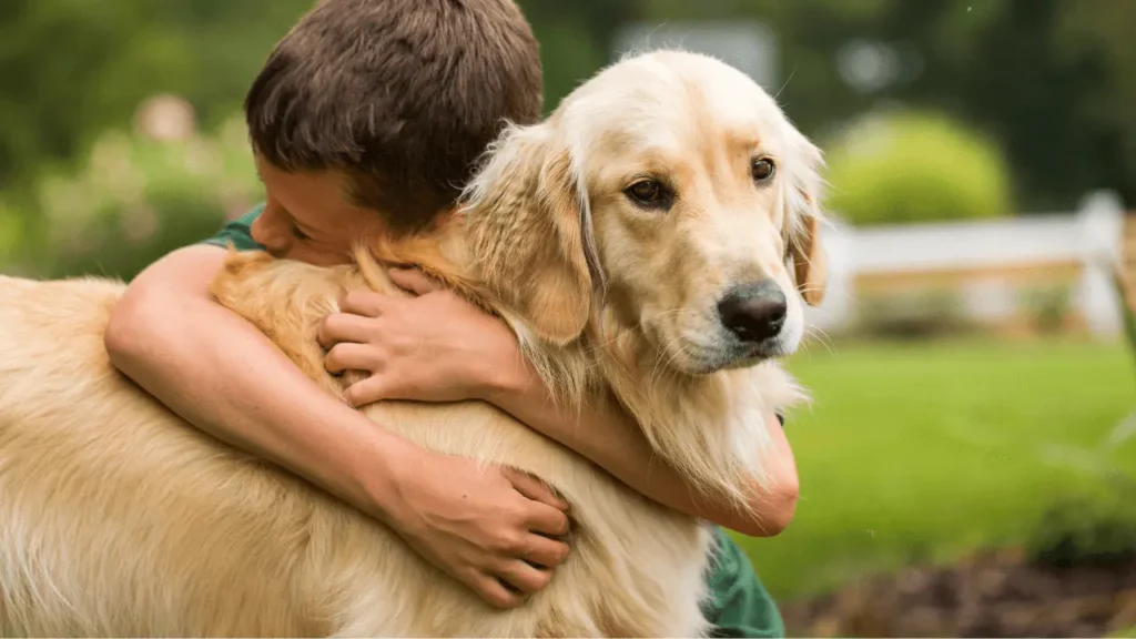 viajar com pets e crianças