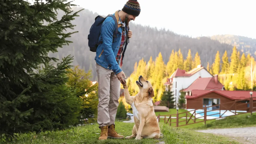 Roteiro Pet Friendly no Interior de São Paulo