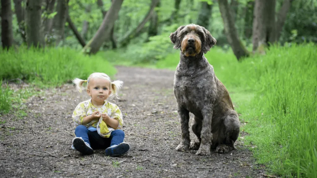 Viagem de Família com Bebê e Cachorro