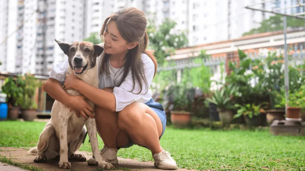 adaptar o pet a novos ambientes