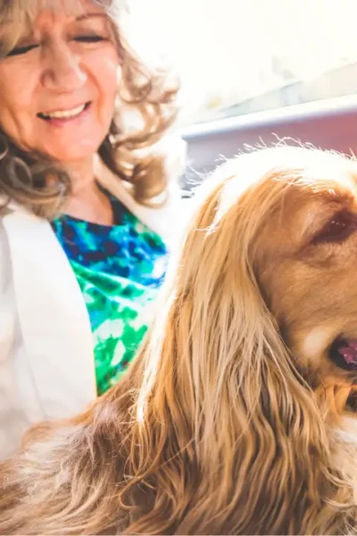 Viajar de Carro com Cachorro