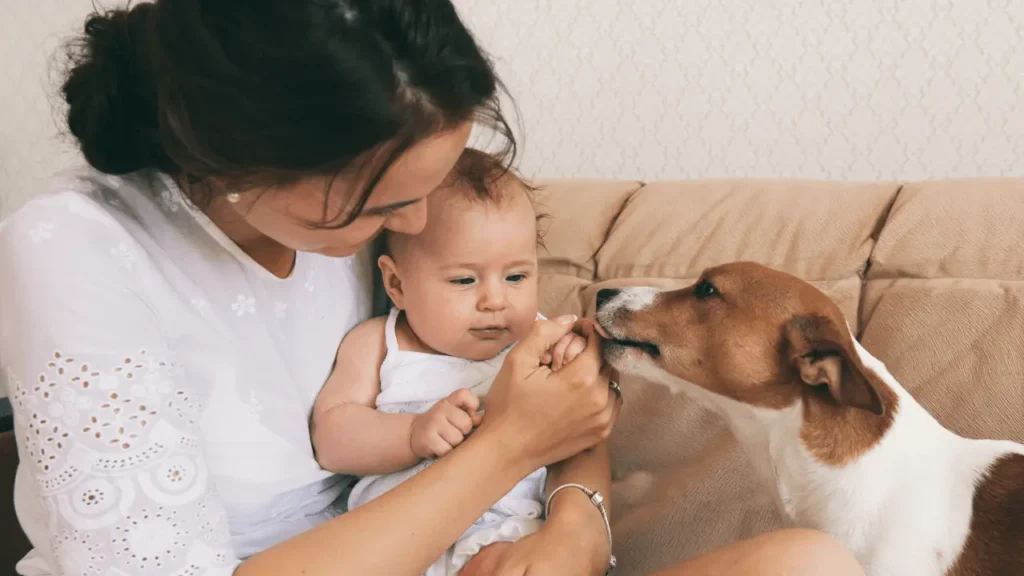 viajar com crianças pequenas e cachorros