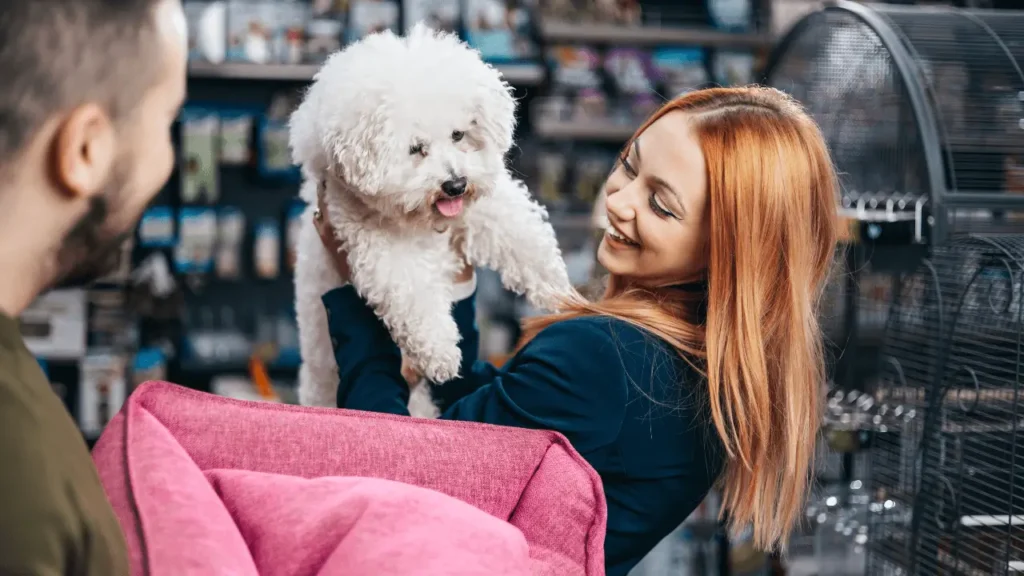 mudança com pet