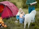 Acampar com Cães no Sudeste