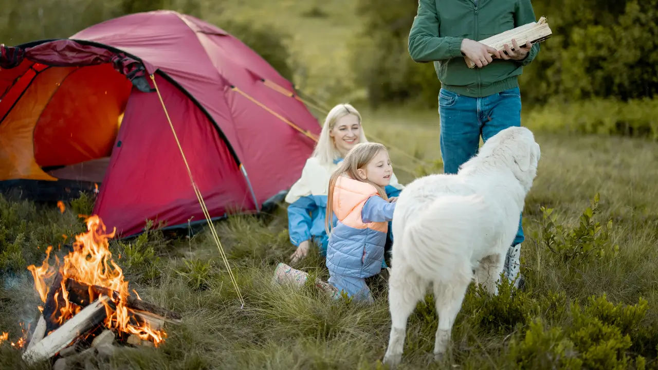 Acampar com Cães no Sudeste