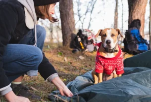 Acampar no frio com cachorro