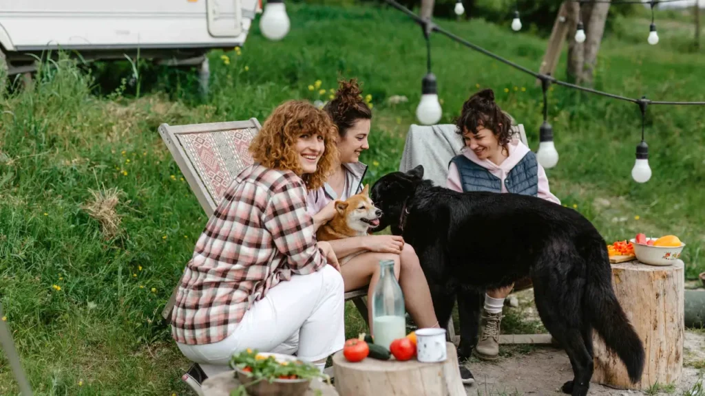 Acampar com Cães no Sudeste