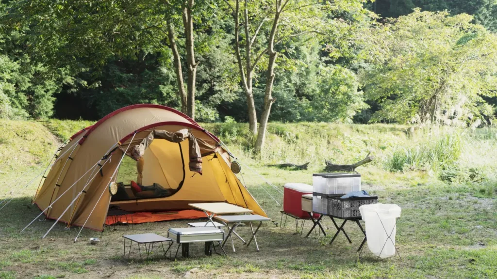 Acampar com Cães no Sudeste