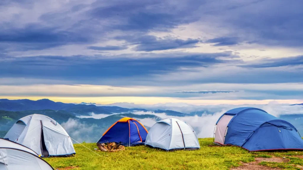 Acampar no frio com cachorro 