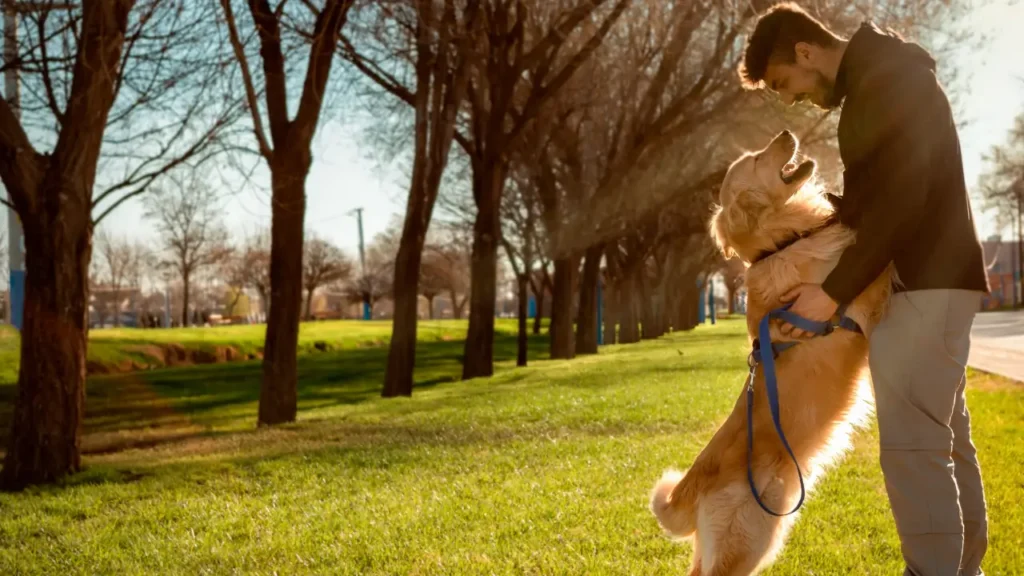 Locais Pet Friendly em Goiânia