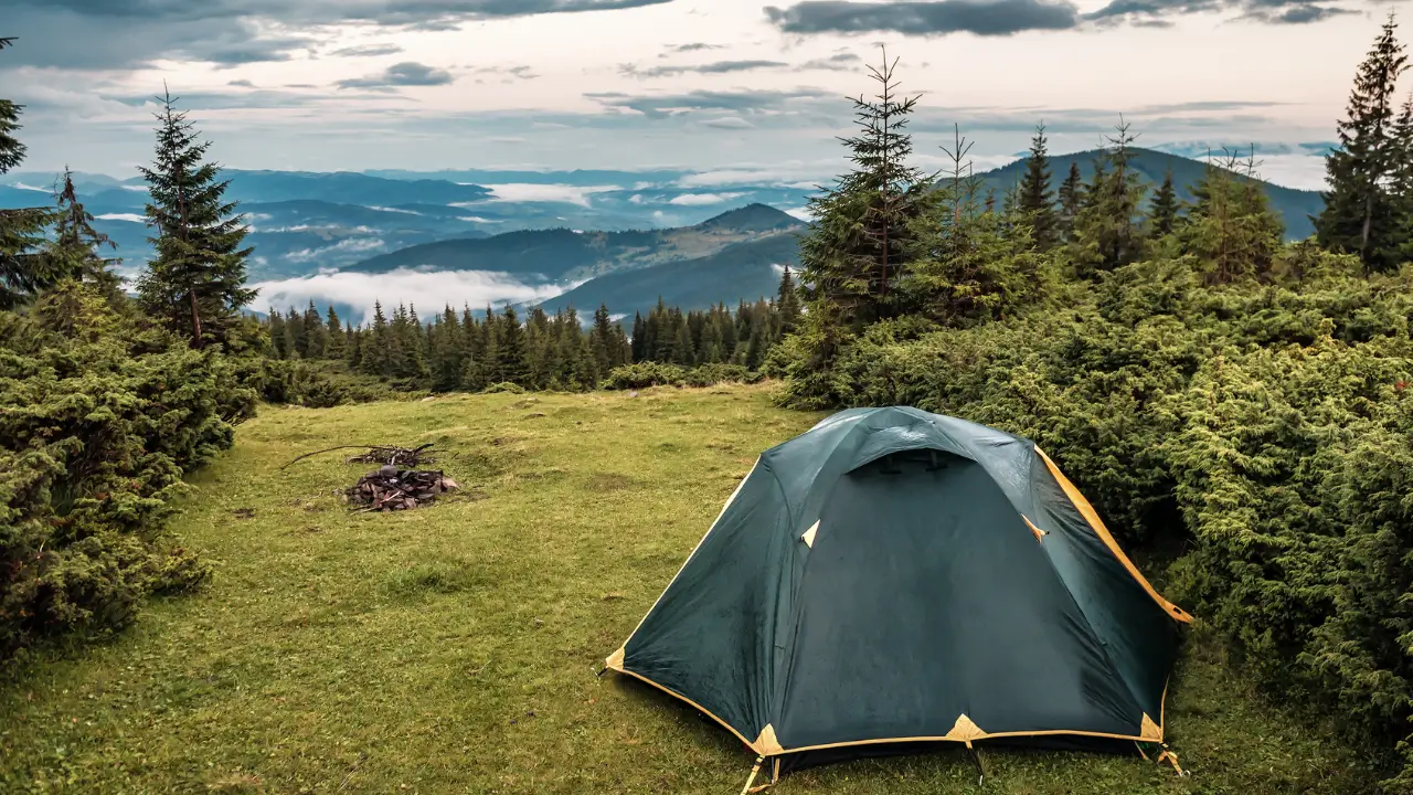 Acampar com Cachorro em Tempo de Chuva
