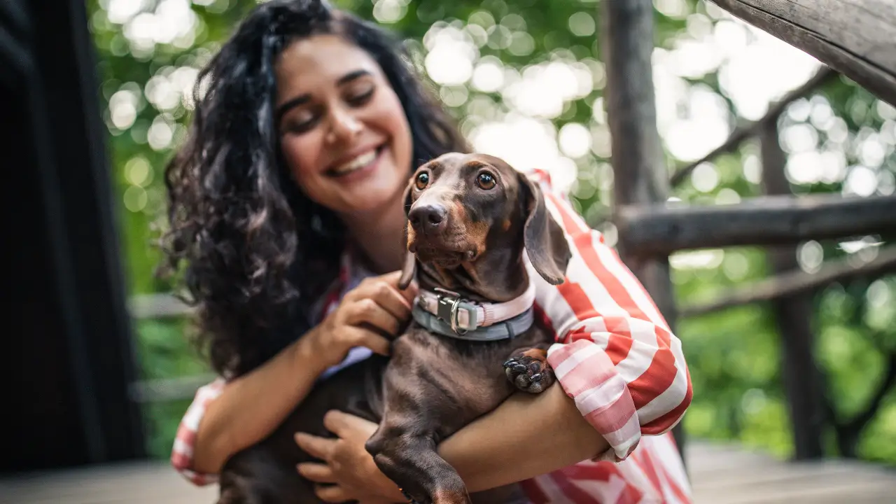 Economizar Espaço e Tempo ao Acampar com Cachorro