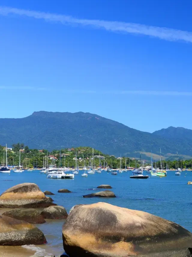 Camping Pet Friendly na Praia SP: Guia Completo para 2025