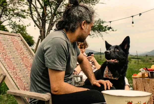 Como Ensinar o Cachorro a Respeitar Outros Campistas