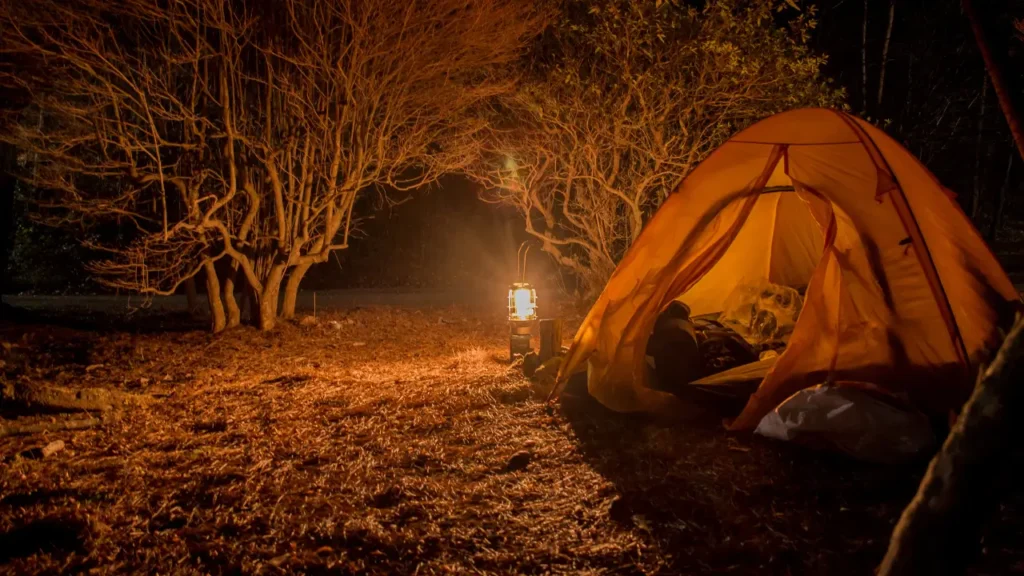 Cuidados ao Acampar com Cachorro em Falta de Energia e Chuva 3 Acampar com Cachorro em Falta de Energia e Chuva