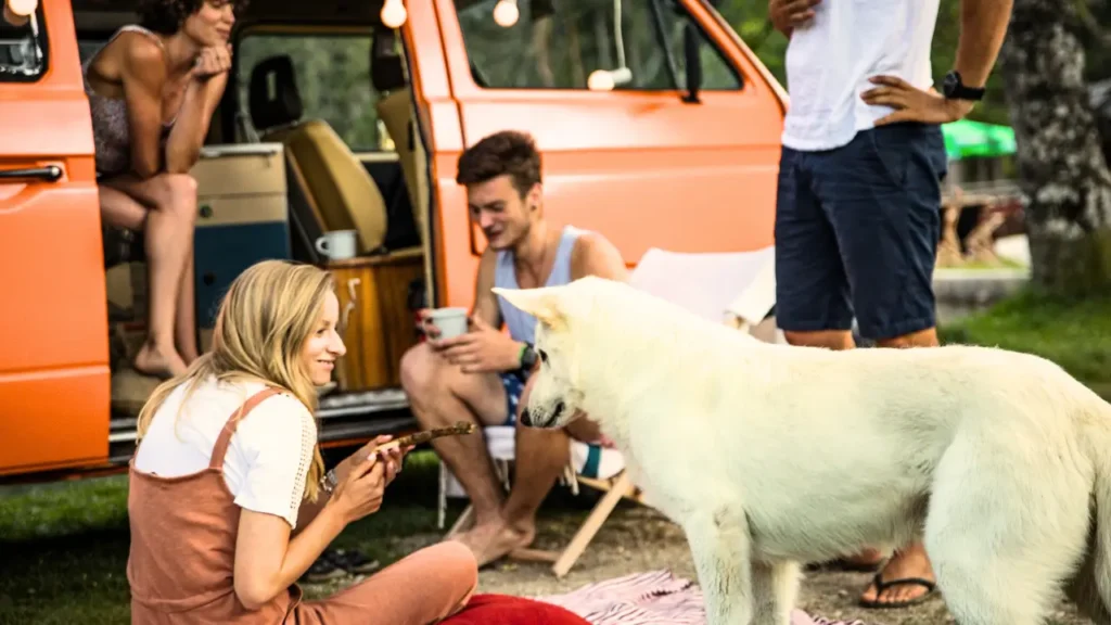 Como Ensinar o Cachorro a Respeitar Outros Campistas 2 Como Ensinar o Cachorro a Respeitar Outros Campistas