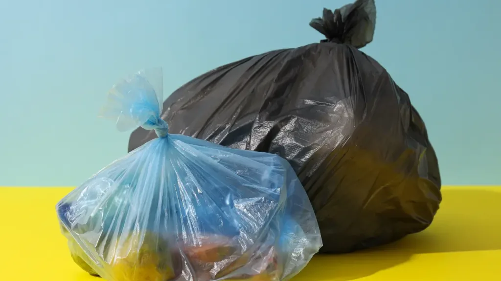 Dicas para Acampar com Cachorro em Lugares sem Lixeiras no Brasil 2 Acampar com Cachorro em Lugares sem Lixeiras