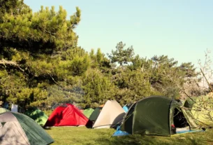Camping para Cachorros com Mobilidade Reduzida