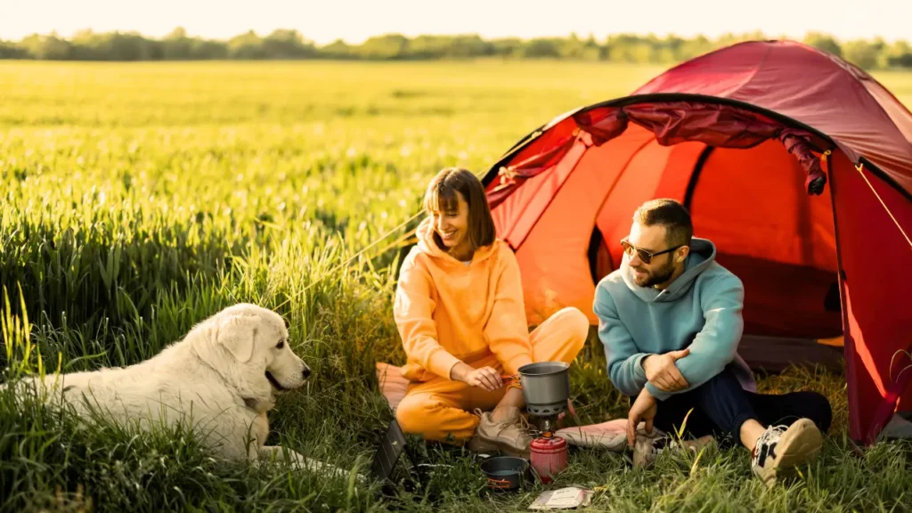 Como Proteger o Cachorro do Vento Forte no Camping 3 Proteger o Cachorro do Vento Forte no Camping