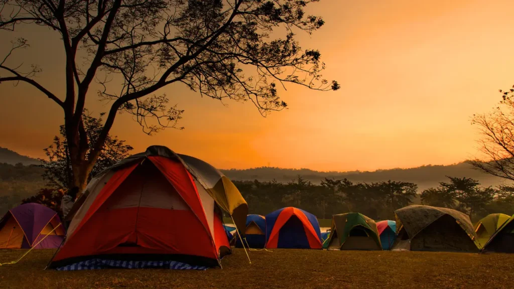 4 Estilos de Camping com Cachorro: Qual Combina com Você? 4 Estilos de Camping com Cachorro